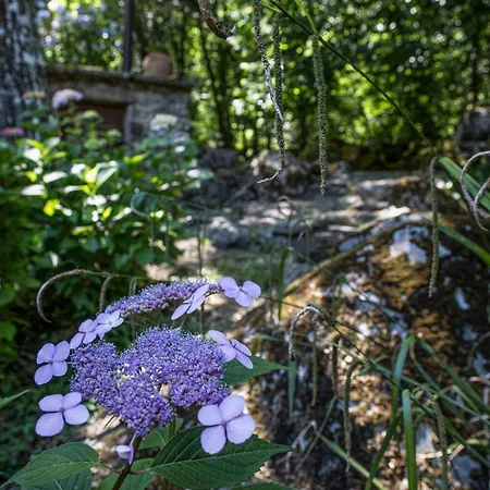 Casa Nel Bosco Arezzo