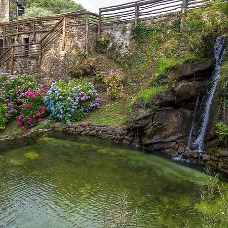 Casa Nel Bosco * Arezzo